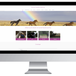 Website laten maken door Sunrise Paardencoaching
