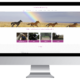 Website laten maken door Sunrise Paardencoaching