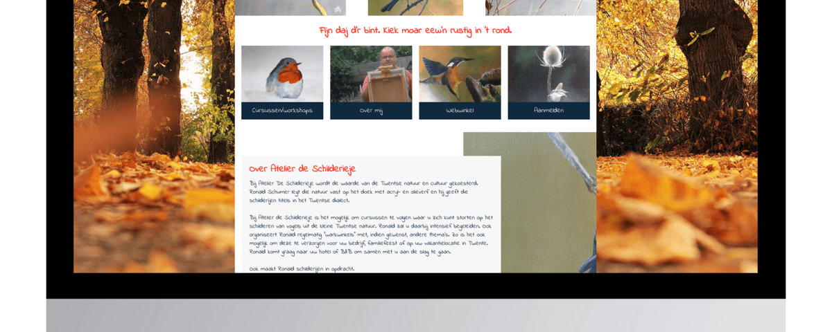 Een nieuwe website laten maken door De Schilderieje