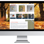 Een nieuwe website laten maken door De Schilderieje